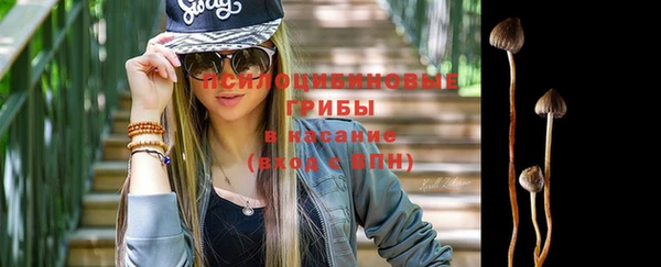 не бодяженный Новозыбков