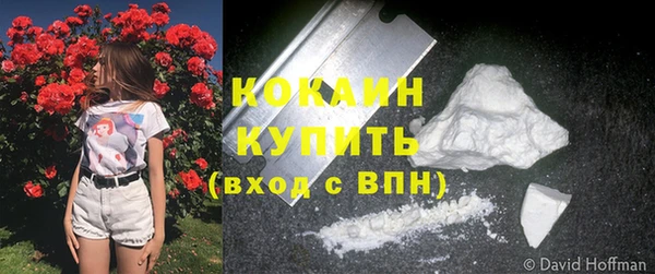 не бодяженный Новозыбков