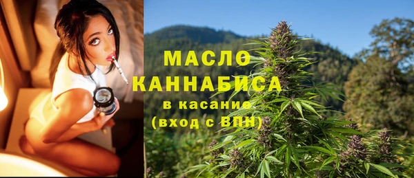 молекула духа Новодвинск