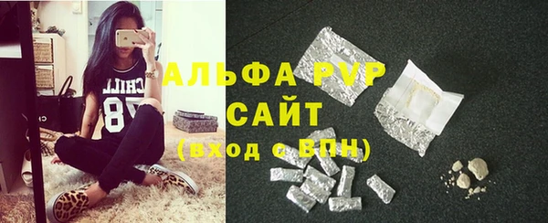 молекула духа Новодвинск