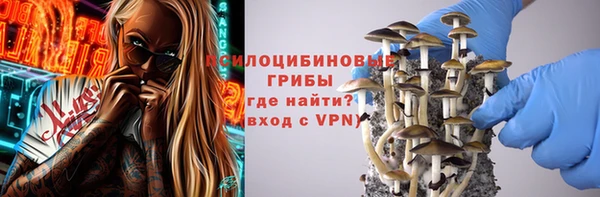 не бодяженный Новозыбков