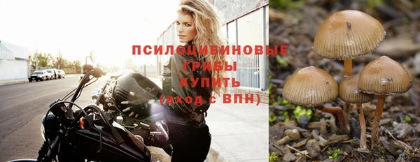 прущая мука Новокубанск